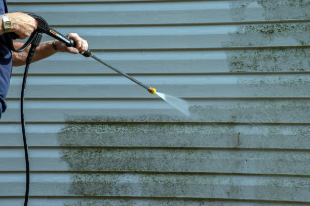 Best Sidewalk Pressure Washing  in Proctor, MN